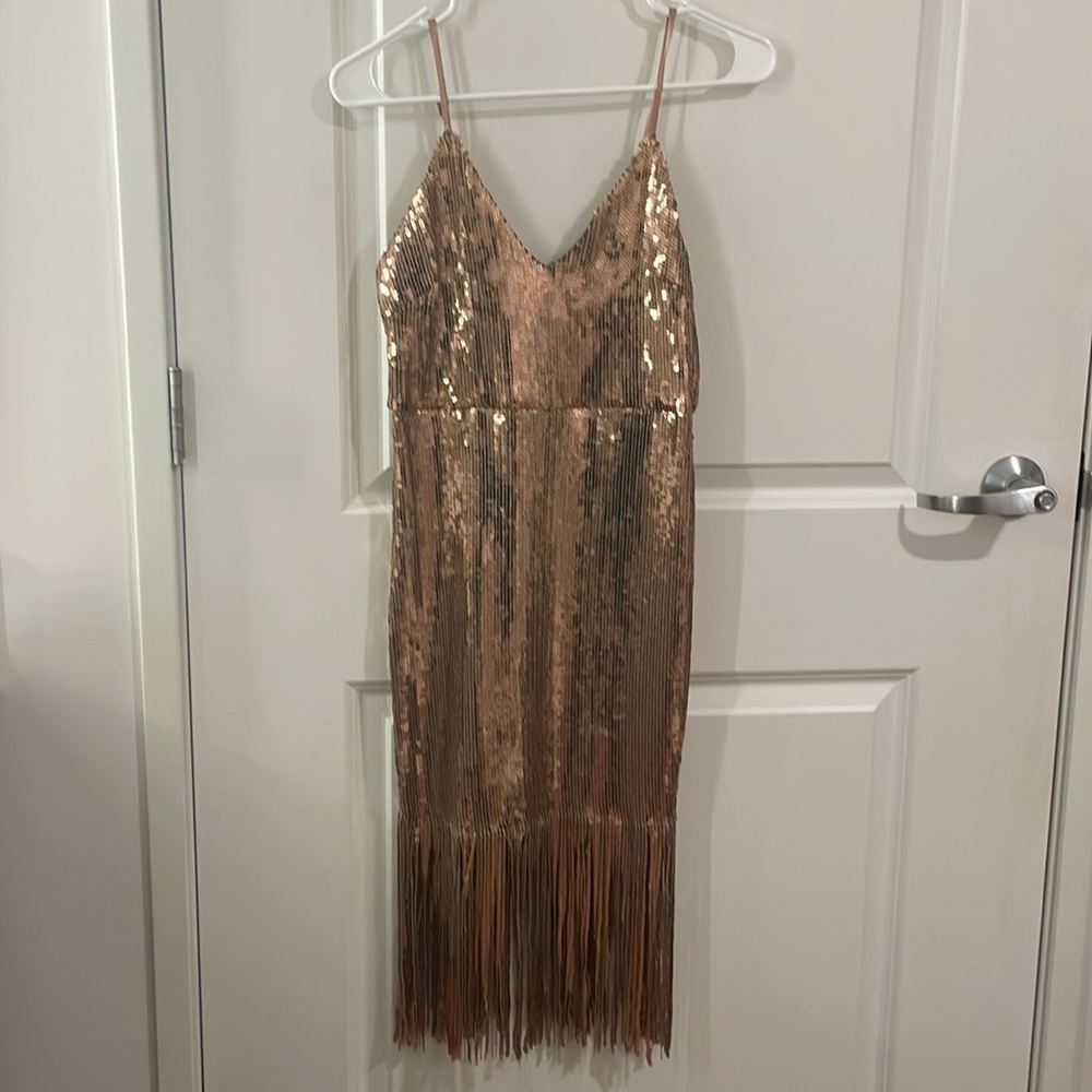 Superdown sequin fringe dress